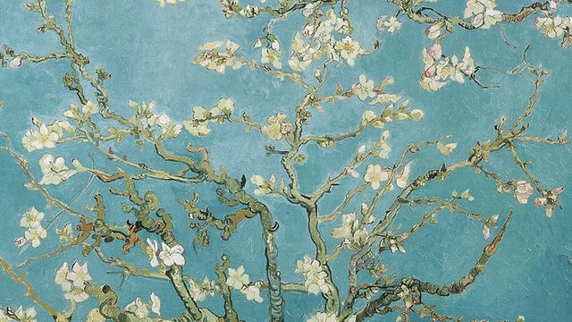 Almond blossoms van Gogh